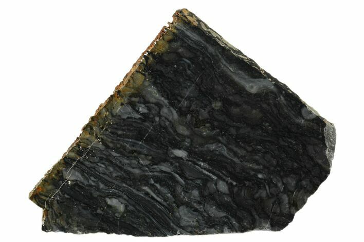 Polished Stromatolite (Alcheringa) Slab - Billion Years #180006